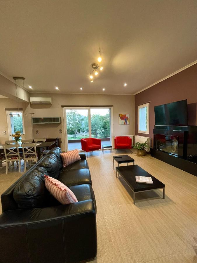 Apollon Paian , Luxury Nature Relax Lefkáda Eksteriør billede